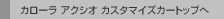 �J���[�� �A�N�V�I �J�X�^�}�C�Y�J�[�g�b�v��
