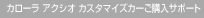 �J���[�� �A�N�V�I �J�X�^�}�C�Y�J�[���w���T�|�[�g