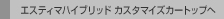 �G�X�e�B�}�n�C�u���b�h �J�X�^�}�C�Y�J�[�g�b�v��