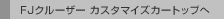 FJ�N���[�U�[ �J�X�^�}�C�Y�J�[�g�b�v��