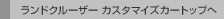 �����h�N���[�U�[ �J�X�^�}�C�Y�J�[�g�b�v��