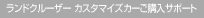�����h�N���[�U�[ �J�X�^�}�C�Y�J�[���w���T�|�[�g