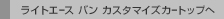 ���C�g�G�[�X �o�� �J�X�^�}�C�Y�J�[�g�b�v��