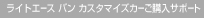 ���C�g�G�[�X �o�� �J�X�^�}�C�Y�J�[���w���T�|�[�g
