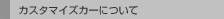 �J�X�^�}�C�Y�J�[�ɂ���