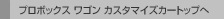 �v���{�b�N�X ���S�� �J�X�^�}�C�Y�J�[�g�b�v��