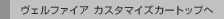 ���F���t�@�C�A �J�X�^�}�C�Y�J�[�g�b�v��