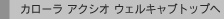 �J���[�� �A�N�V�I �E�F���L���u�g�b�v��