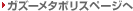 �K�Y�[���^�|���X�y�[�W��