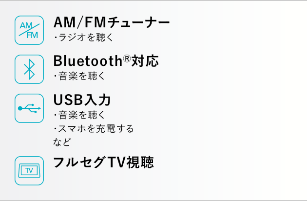 AM/FMチューナー Bluetooth対応 USB入力 フルセグTV視聴