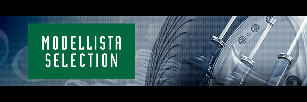 MODELLISTA SELECTION