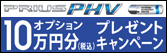 �v���E�XPHV �I�v�V�����P�O���~���v���[���g�L�����y�[�����{���I