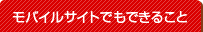 ���o�C���T�C�g�ł��ł��邱��