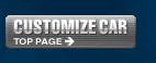 CUSTOMIZE CAR TOP��
