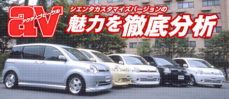 �V�G���^�J�X�^�}�C�Y�o�[�W�����̖��͂�O�ꕪ��