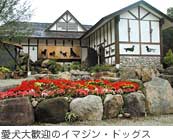 �����劽�}�̃C�}�W���E�h�b�O�X