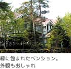 �΂ɕ�܂ꂽ�y���V�����B�΂ɕ�܂ꂽ�y���V�����B