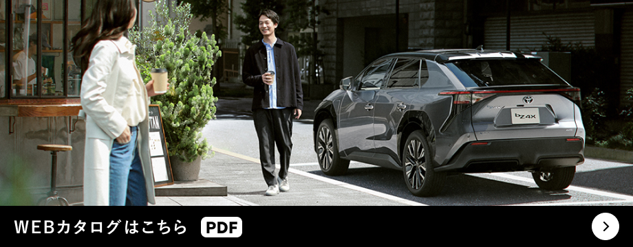 WEBカタログはこちら PDF