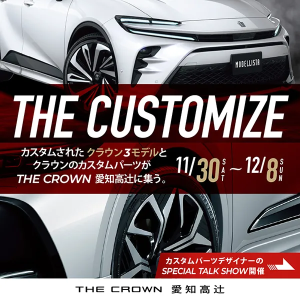 THE CUSTOMIZE