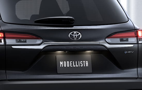 バックドアガーニッシュ イメージ