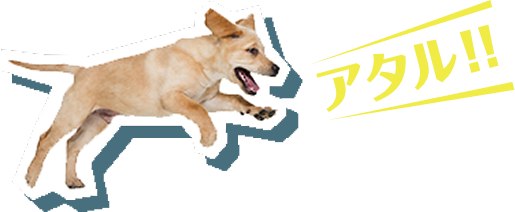 アタル！！