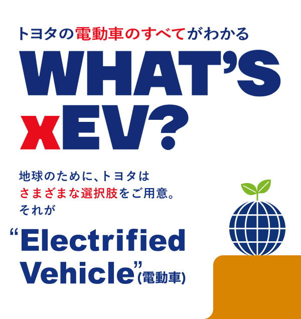 WHAT'S xEV?