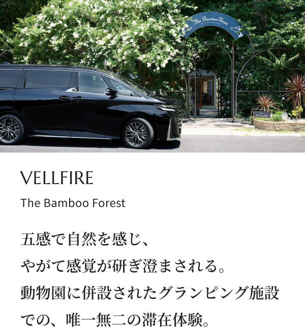 VELLFIRE The Bamboo Forest 五感で自然を感じ、やがて感覚が研ぎ澄まされる。動物園に併設されたグランピング施設での、唯一無二の滞在体験。
