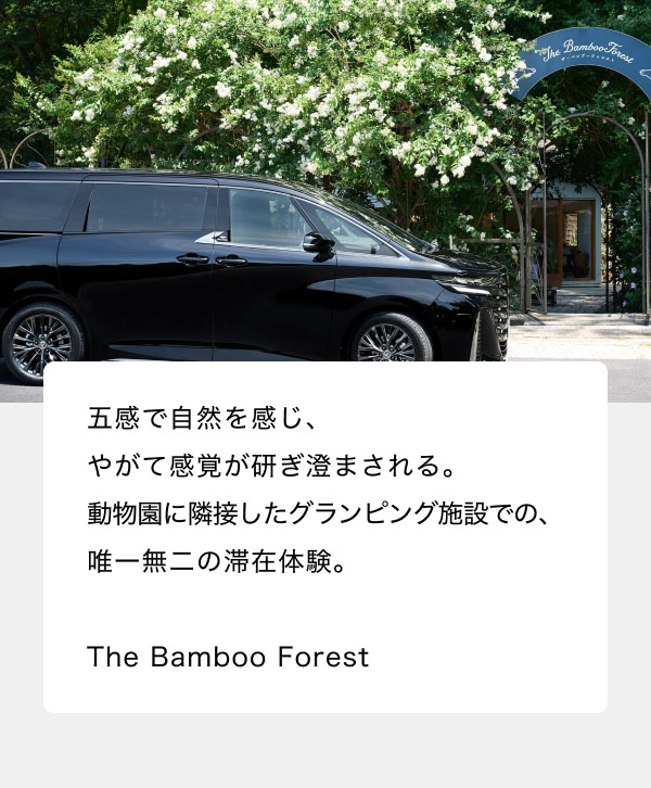 五感で自然を感じ、やがて感覚が研ぎ澄まされる。動物園に隣接したグランピング施設での、唯一無二の滞在体験。 The Bamboo Forest