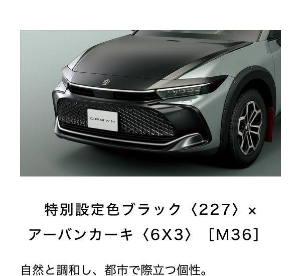 特別設定色ブラック〈227〉× アーバンカーキ〈6X3〉［M36］  自然と調和し、都市で際立つ個性。