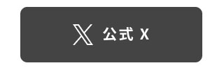 公式X