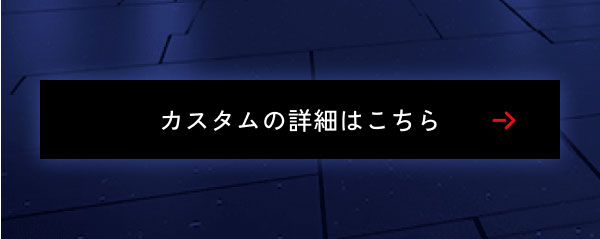 カスタムの詳細はこちら