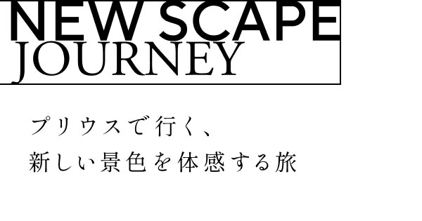 今、前橋が面白い！日常にデザインが息づく街 ー新しい明日に出会えるWEBマガジン「PRIUS JOURNAL」