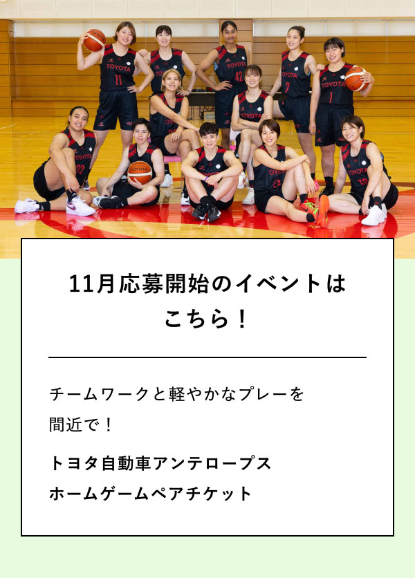 11月応募開始の イベントはこちら！  チームワークと軽やかなプレーを間近で！ トヨタ自動車アンテロープス ホームゲームペアチケット