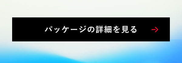 パッケージの詳細を見る