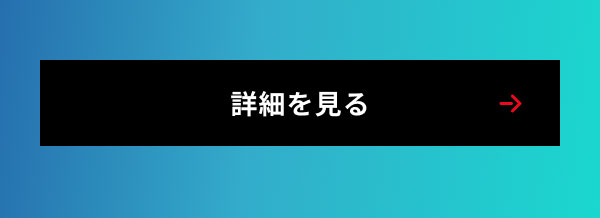 詳細を見る