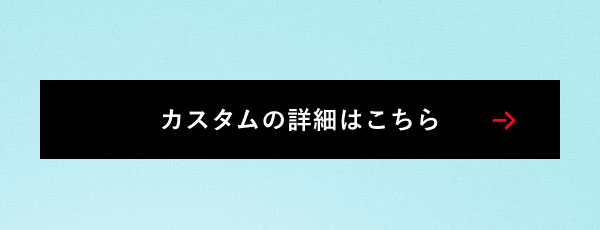 カスタムの詳細はこちら