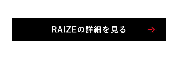 RAIZEの詳細を見る