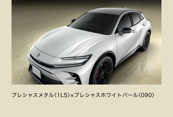 プレシャスメタル〈1L5〉×プレシャスホワイトパール〈090〉