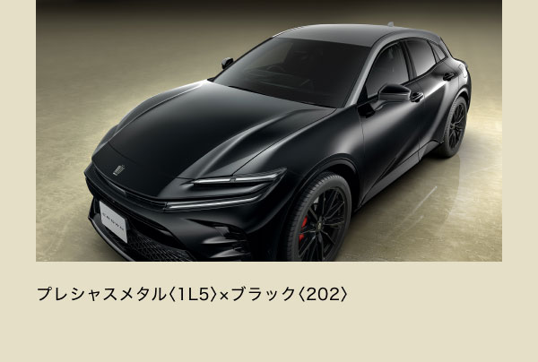 プレシャスメタル〈1L5〉×ブラック〈202〉