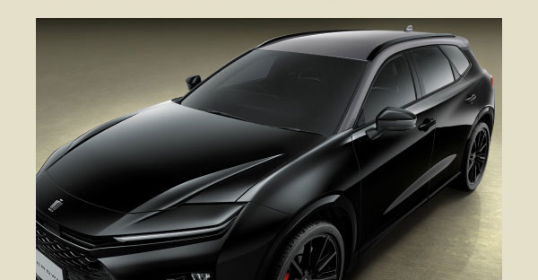 [プレシャスメタル〈1L5〉×ブラック〈202〉の画像]