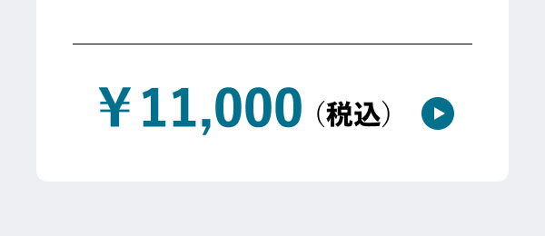 ￥11,000(税込)