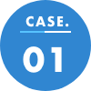 CASE.01