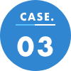 CASE.03