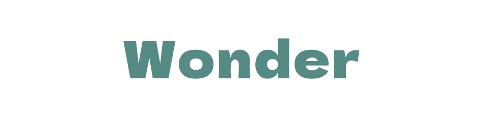 Wonder