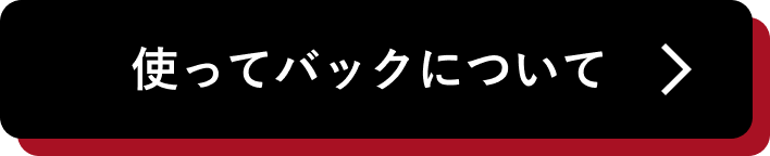 使ってバックについて