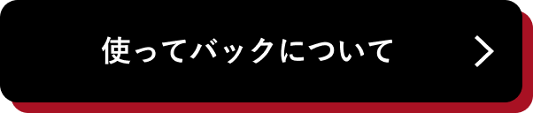 使ってバックについて