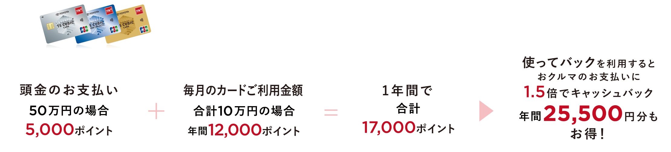 TS CUBIC CARD