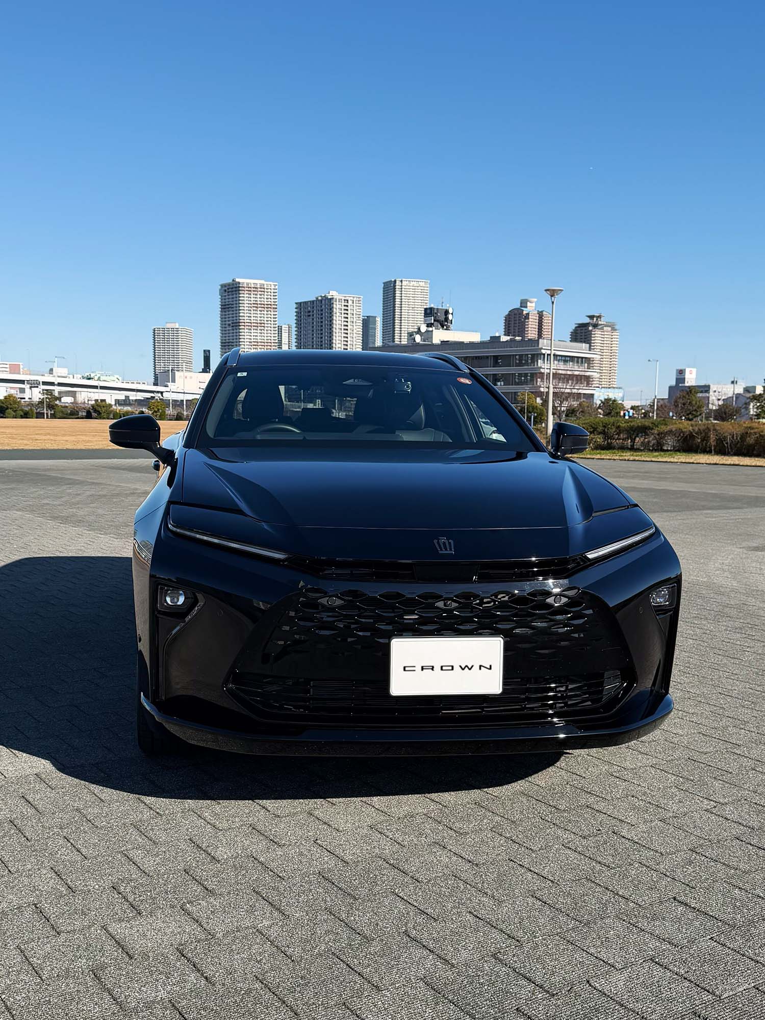 せっかくのサイドのキレイな流線があまり見えない...