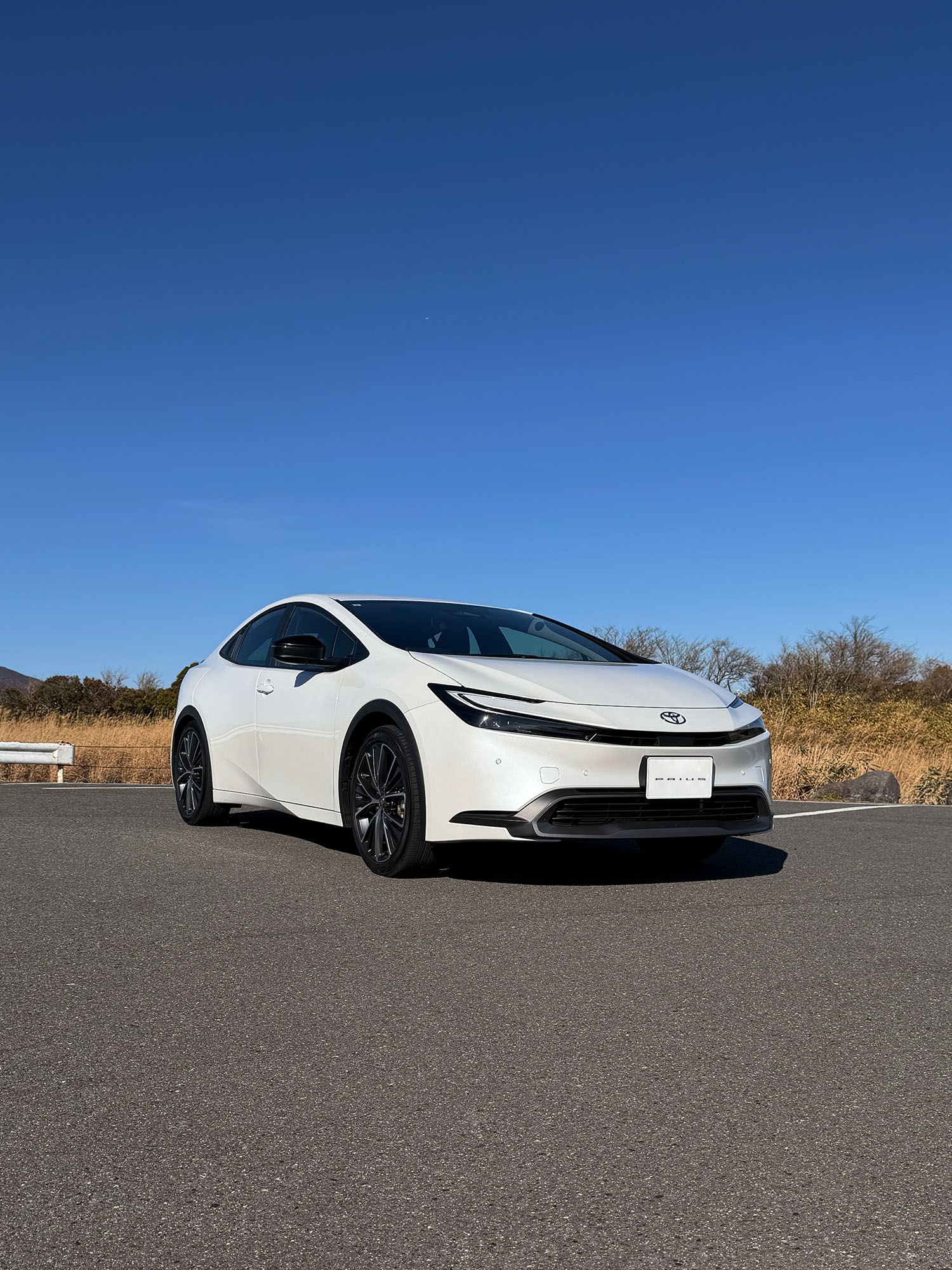 お昼頃に撮るとこんな感じ