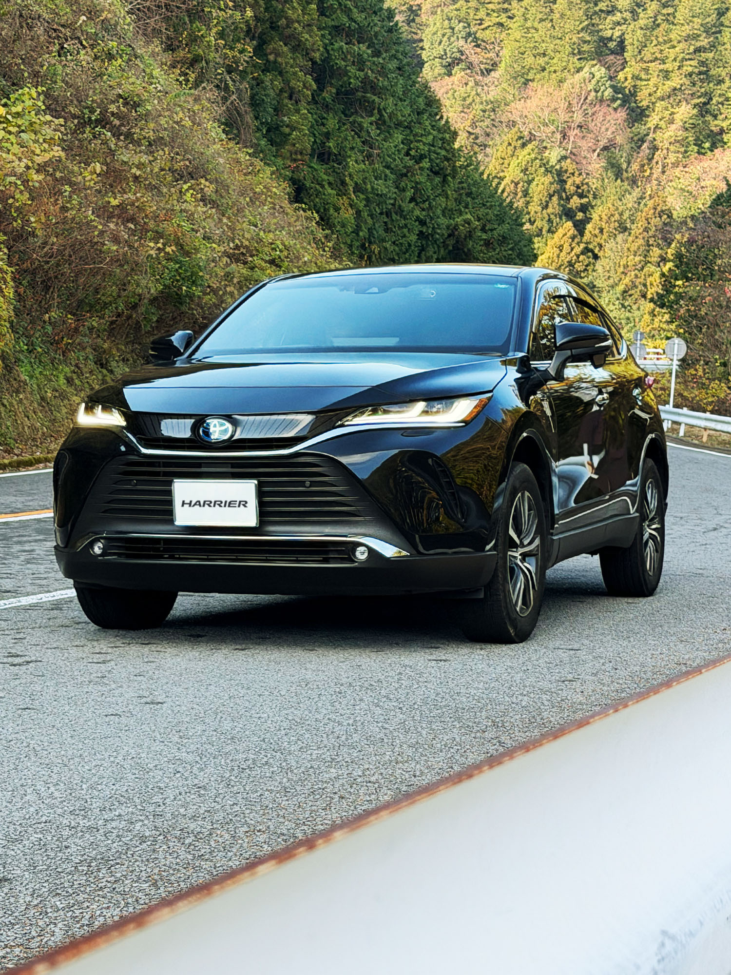 少しクルマが大きすぎ...？<br>どこにいるのか伝わりづらい